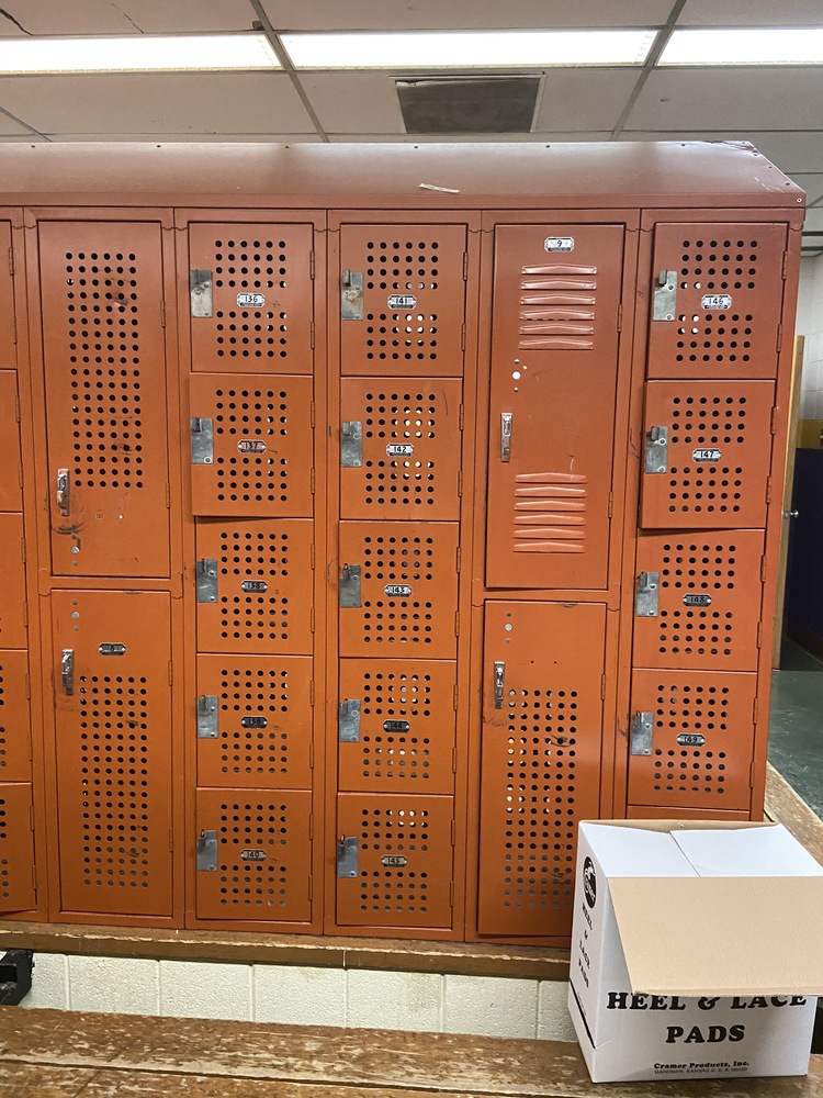 Orange as shown in various configurations and the traditional double putty colored lockers are available.
